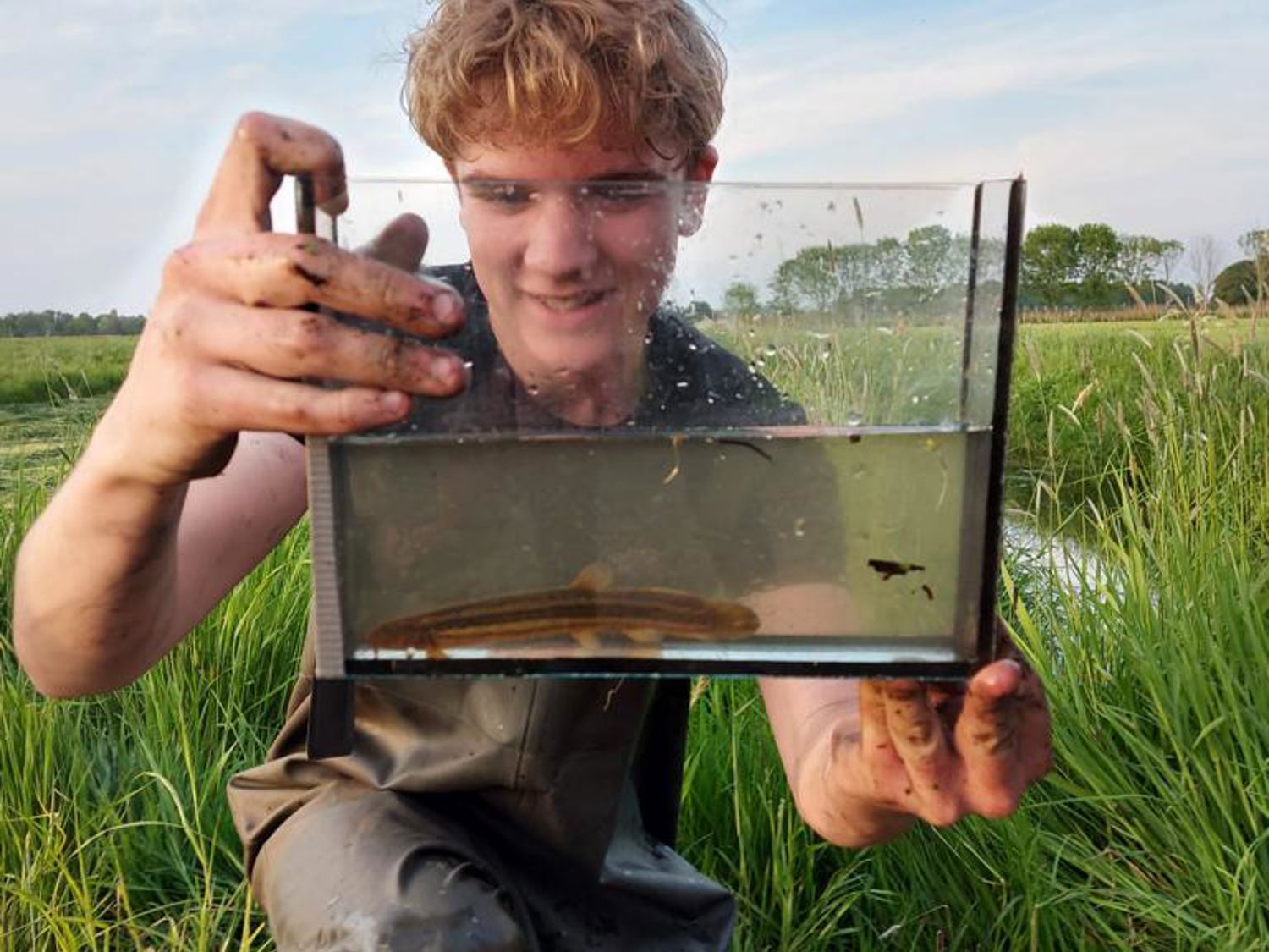 Leerling kust de neus van een paard
