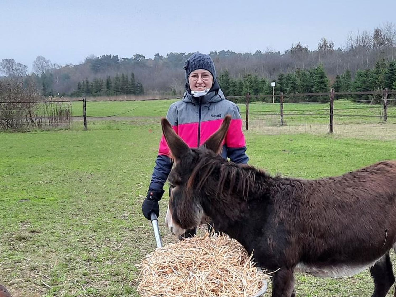 Leerling kust de neus van een paard