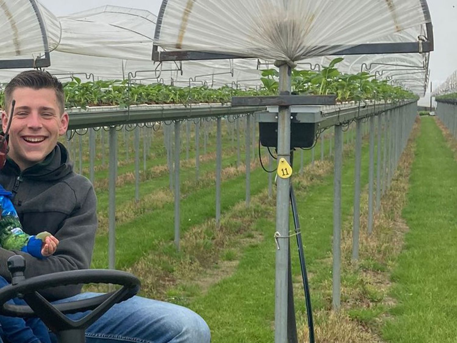 Drie dierenartsen met een hond