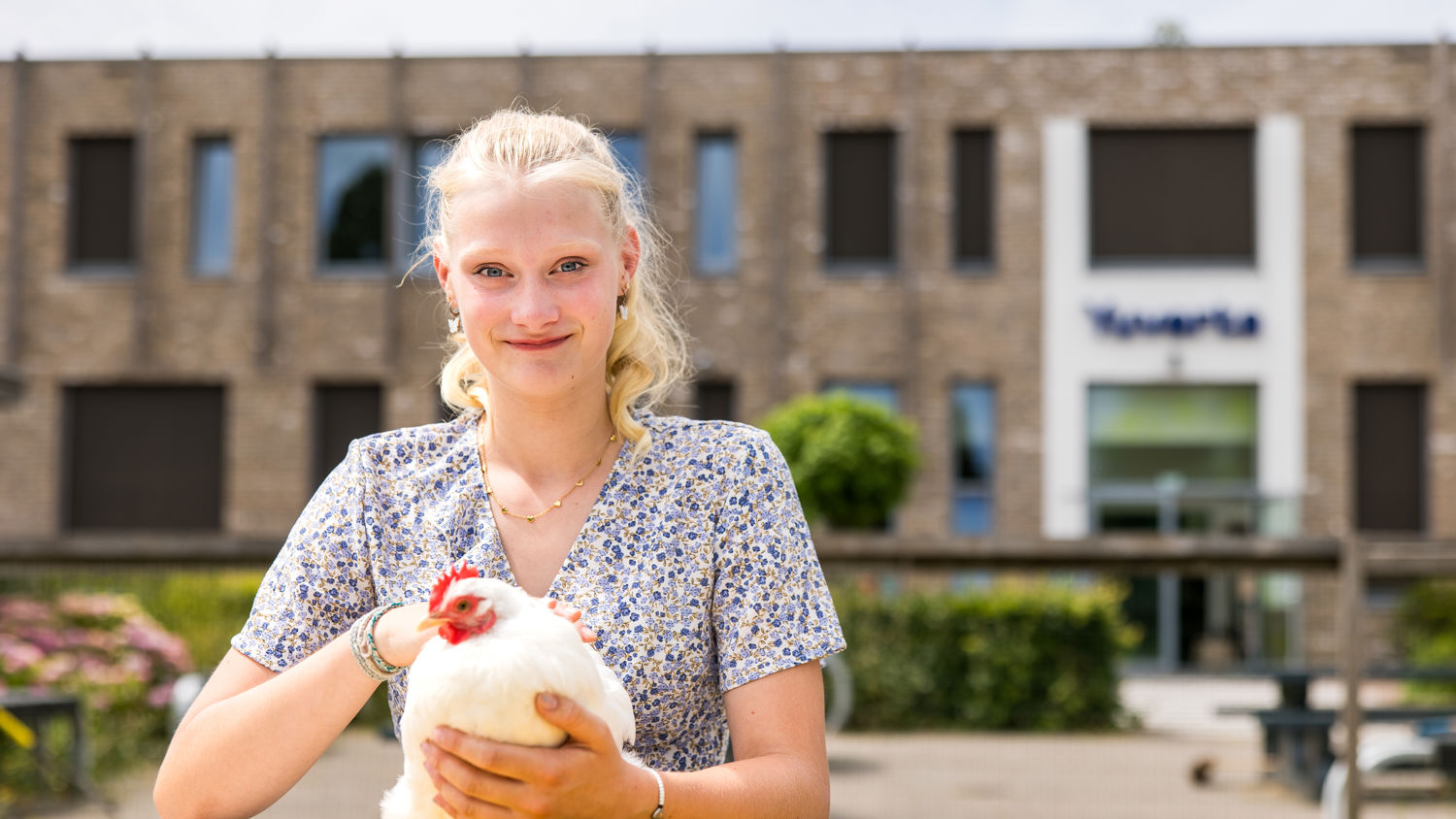 Drie dierenartsen met een hond