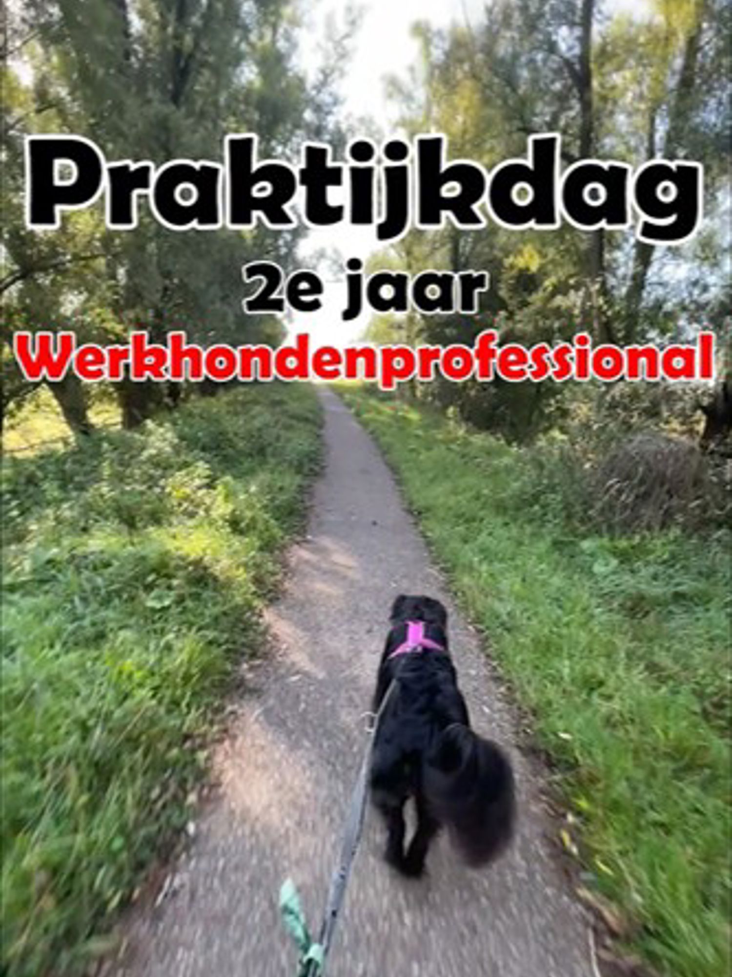 Uitreiking Dragons' Den