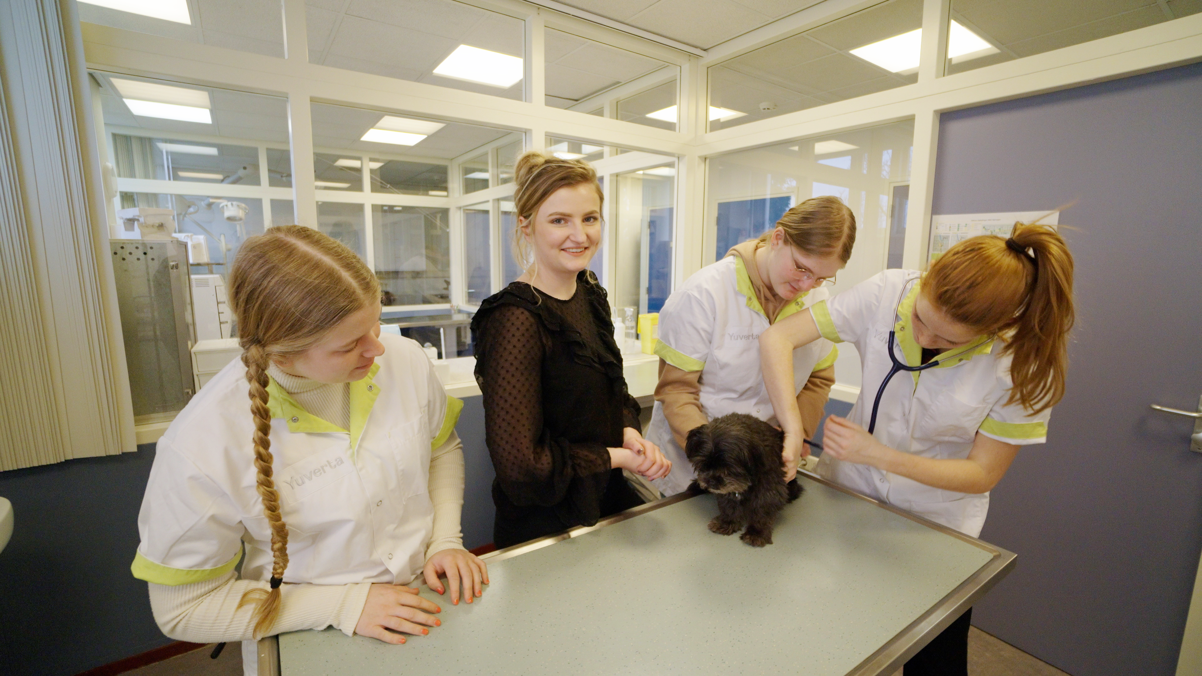 Leerlingen werken met een hond