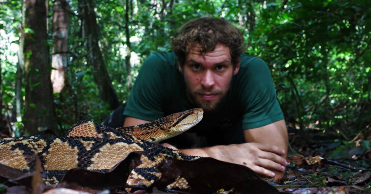 Oyoq va oyoq barmoqlarining fotosuratlari