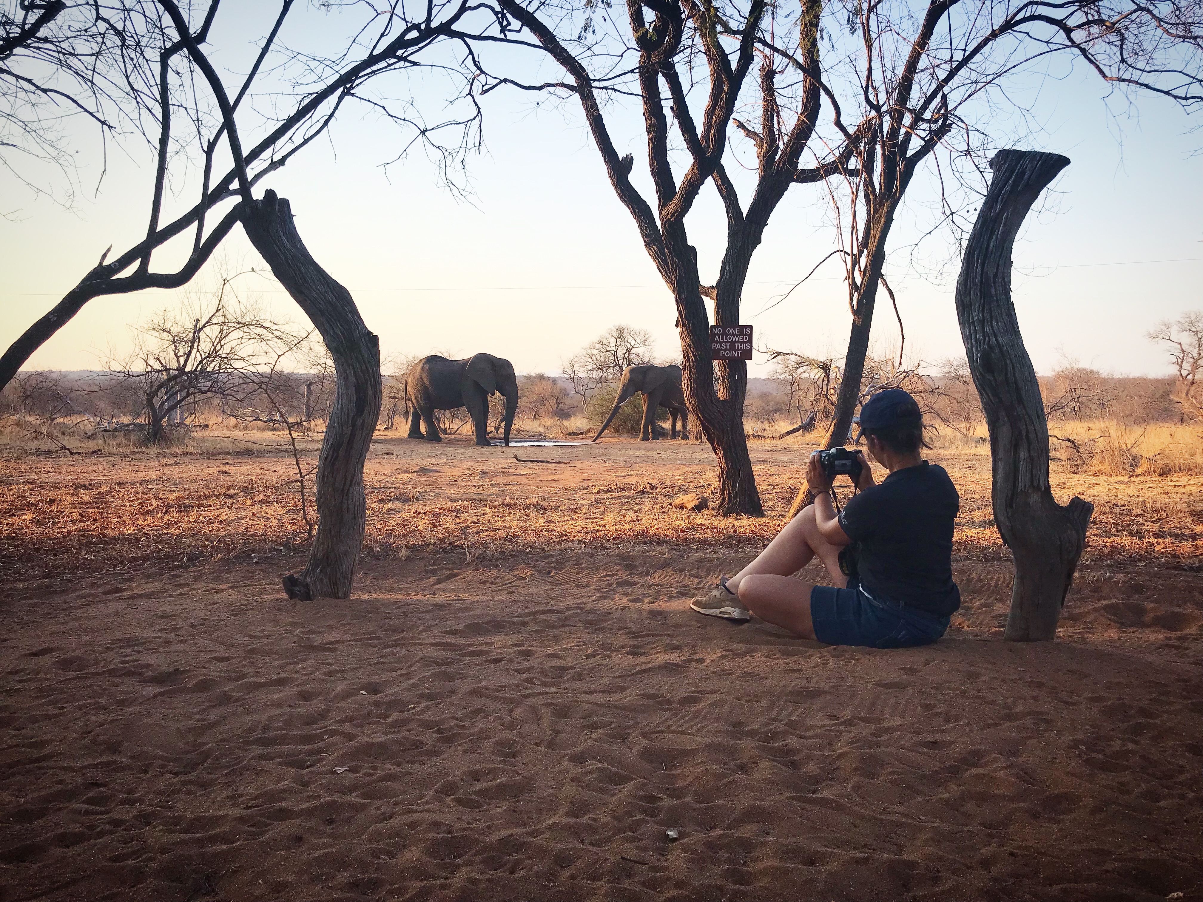 Vrouw maakt fotos in Zuid Afrika