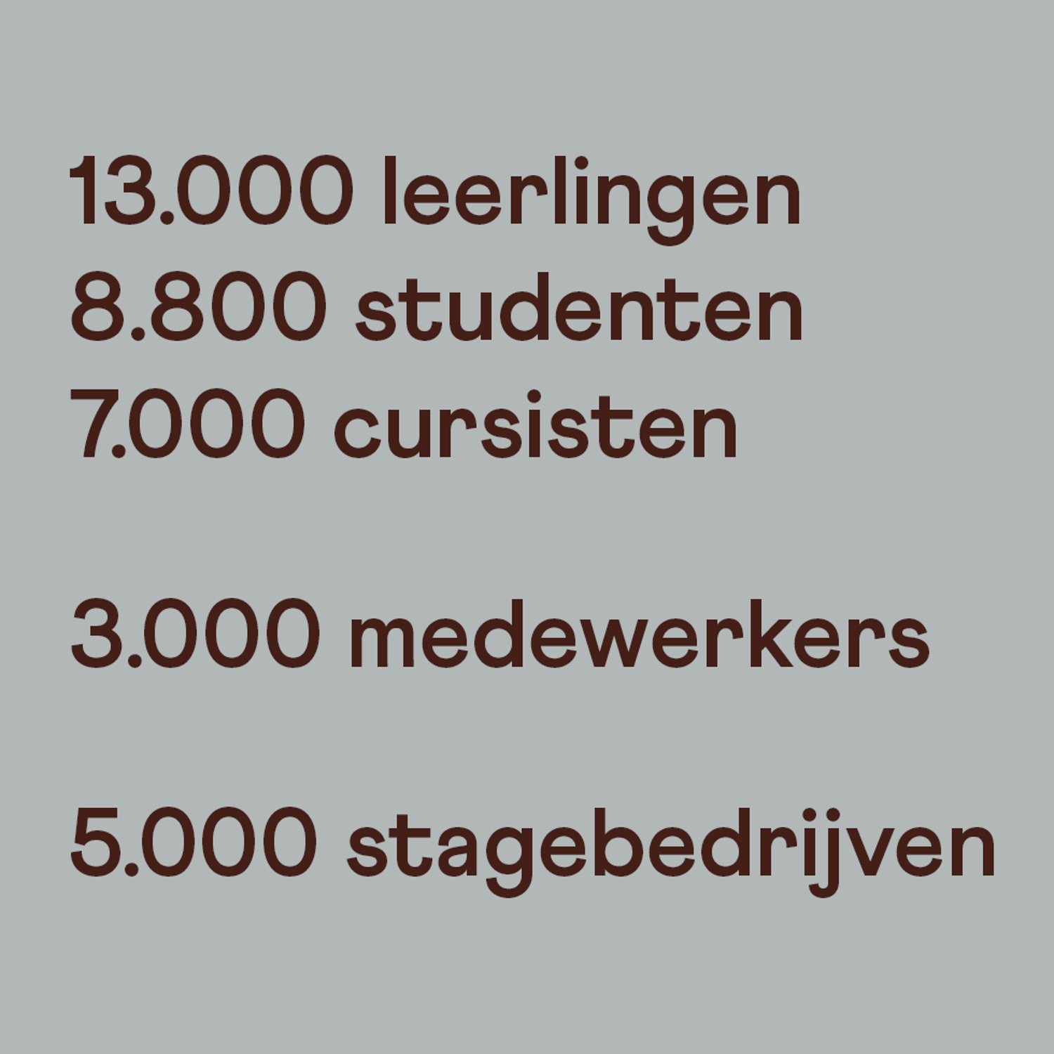 Leerling kust de neus van een paard