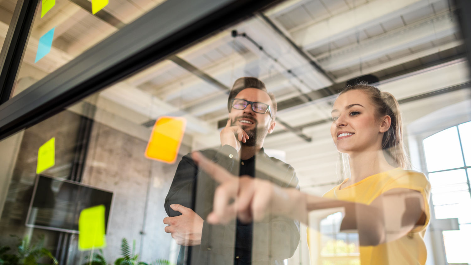 Drie dierenartsen met een hond