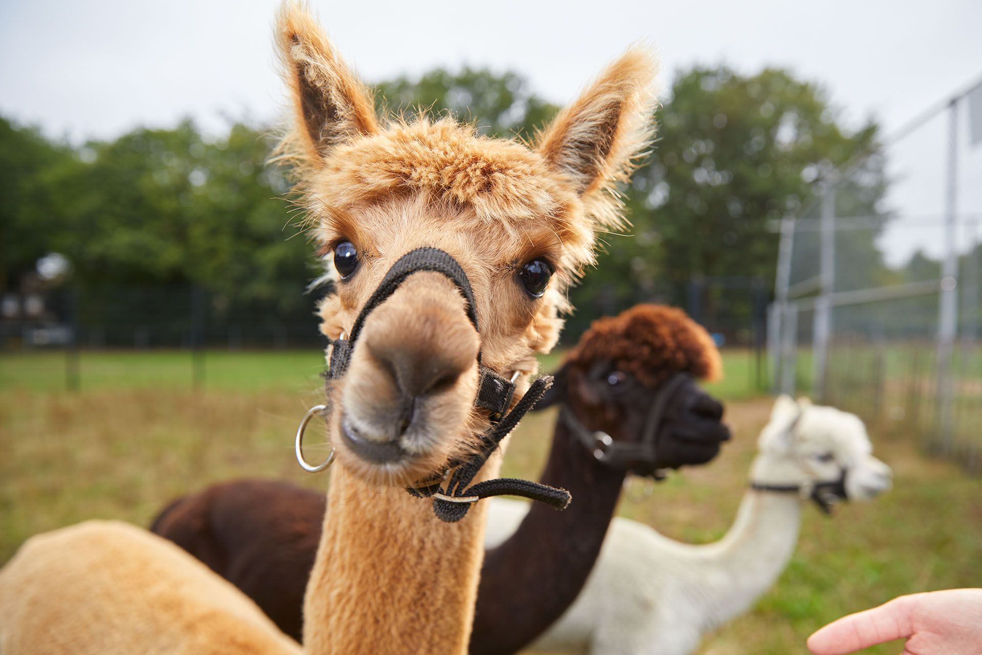 Docent leidt groep lachende studenten in klaslokaal