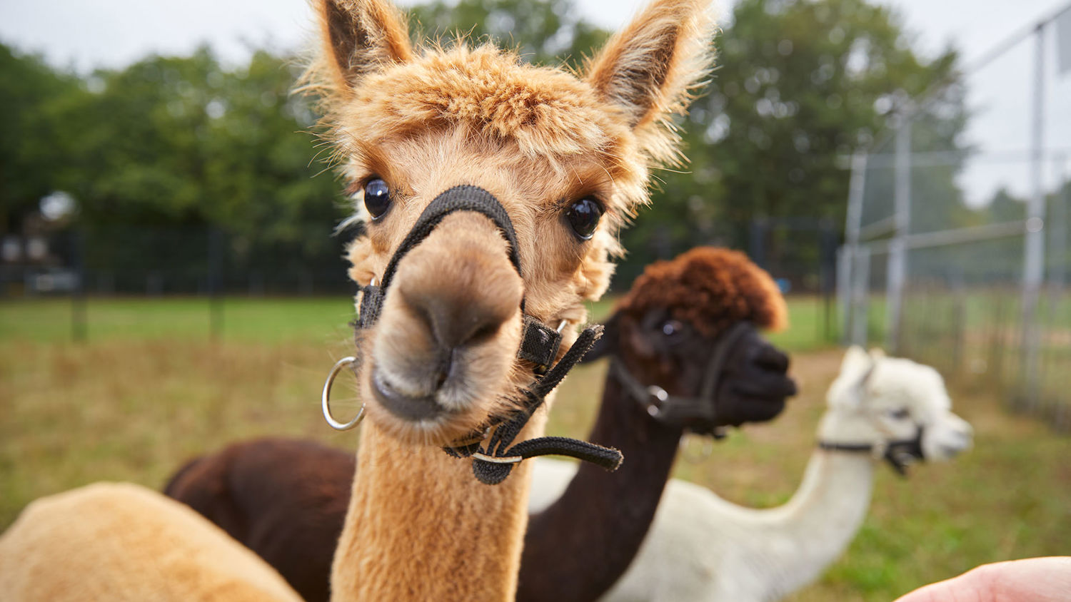 Meisje zittend op een bank voor kluisjes