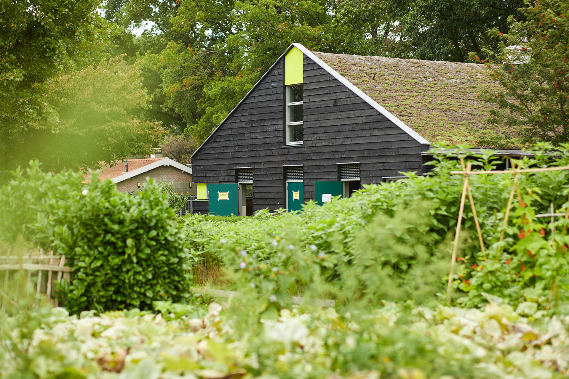 Docent leidt groep lachende studenten in klaslokaal