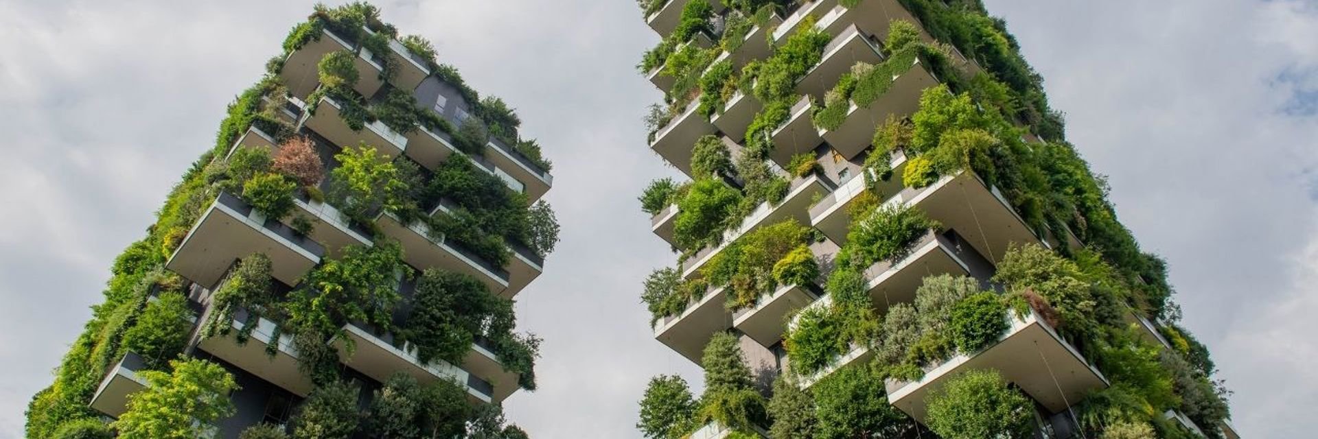 Twee gebouwen met groene beplanting