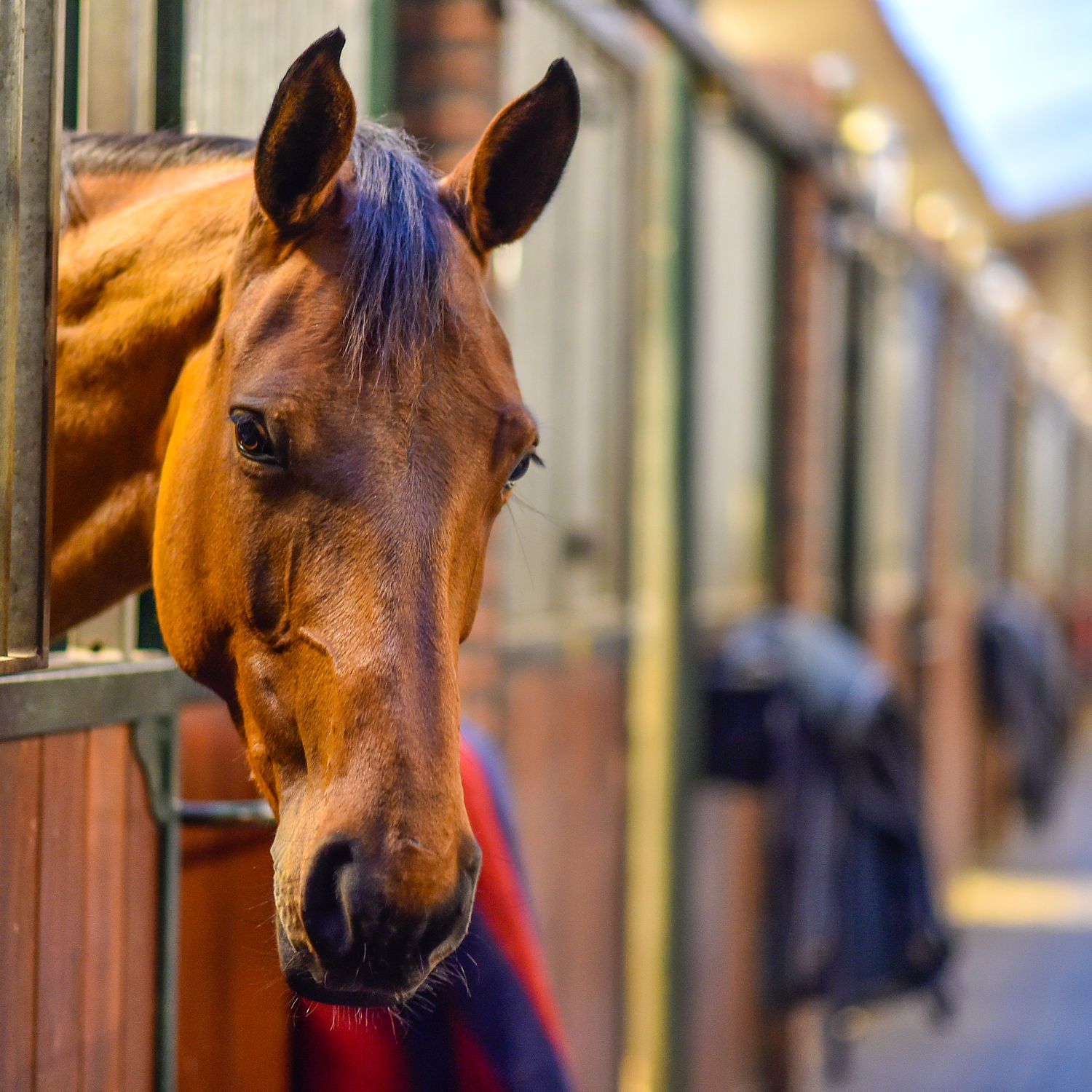 Docent leidt groep lachende studenten in klaslokaal