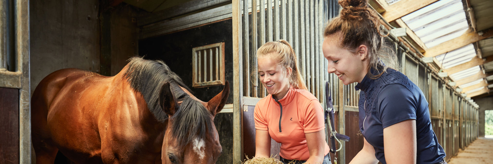 Twee studenten voeren een paard