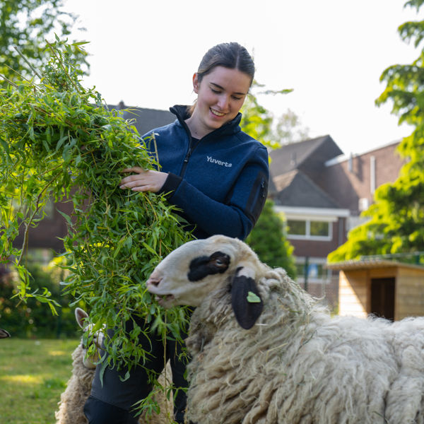 Een student rijdt lachend paard
