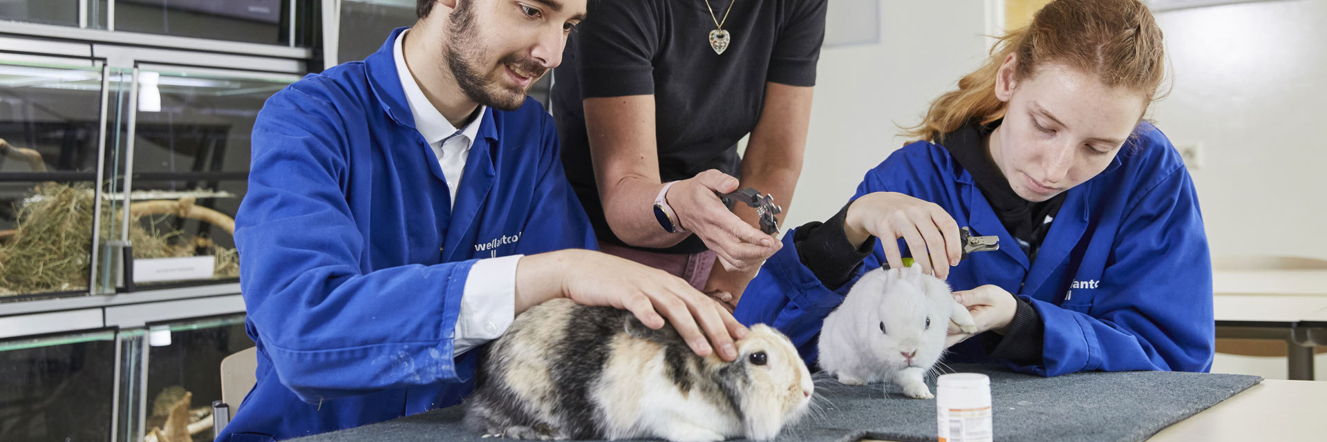 Docent geeft uitleg met konijnen