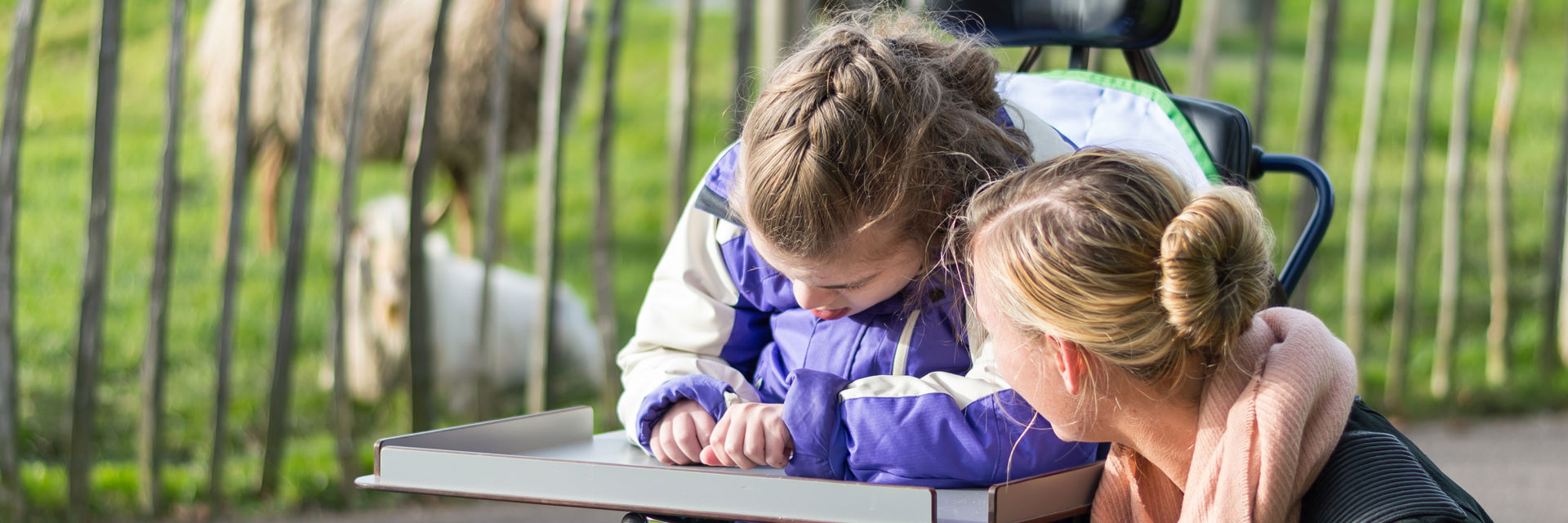 Een persoon in een rolstoel op een boerderij