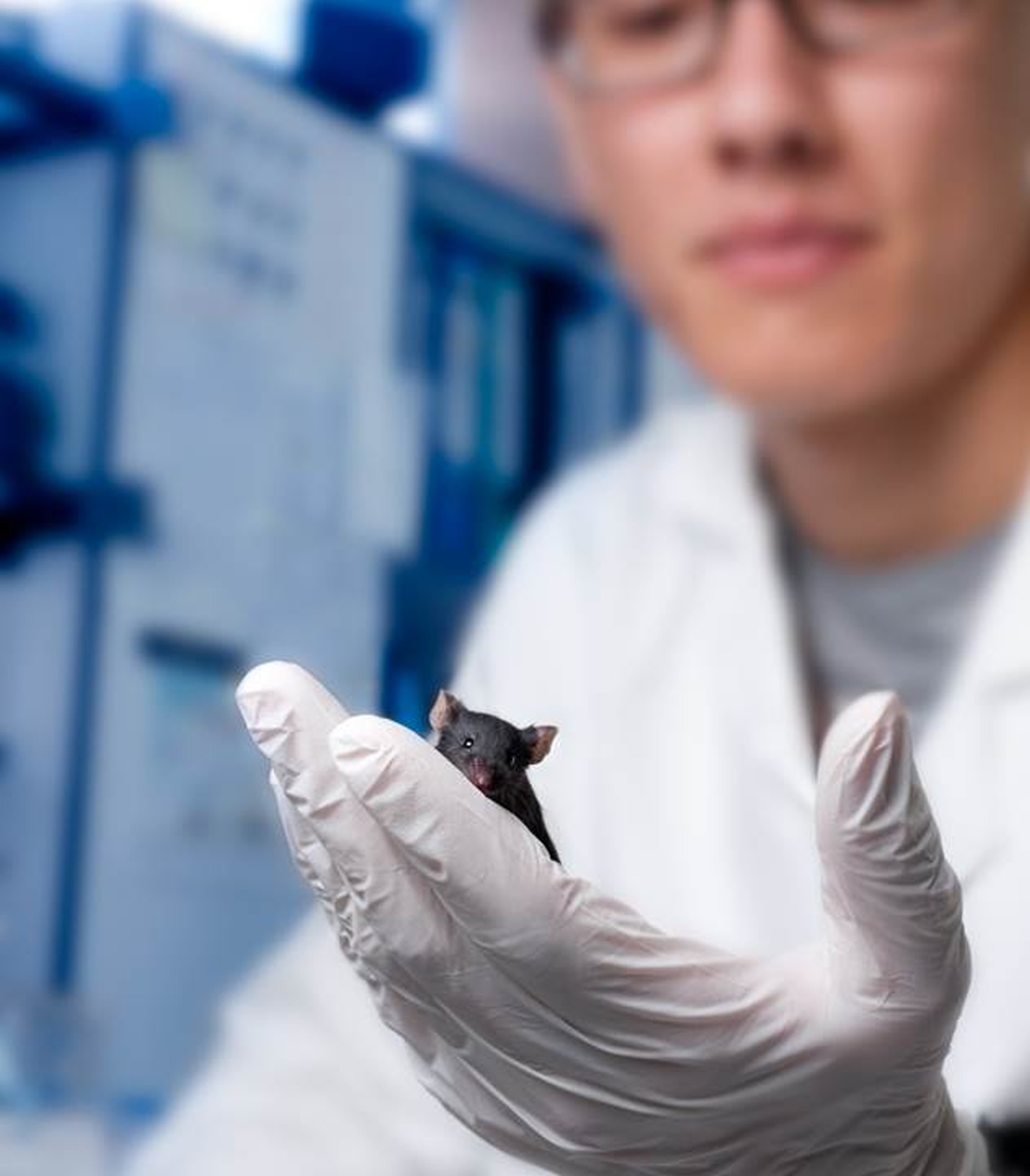 Drie studenten voeren wateronderzoek uit