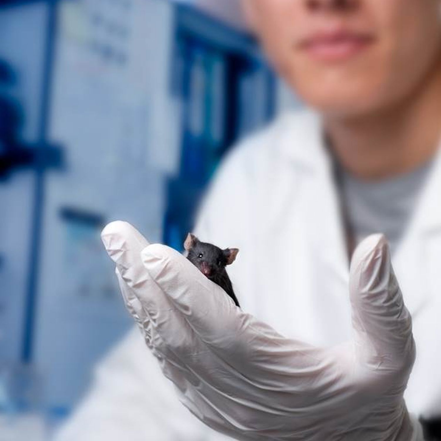 Drie studenten voeren wateronderzoek uit