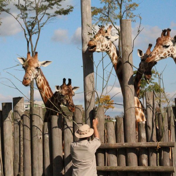 Meisje zittend op een bank voor kluisjes