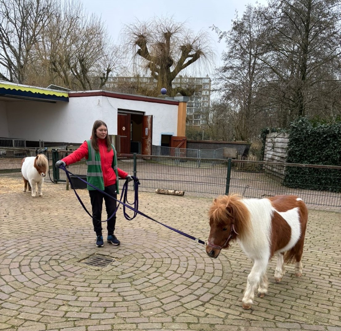 Meisje zittend op een bank voor kluisjes
