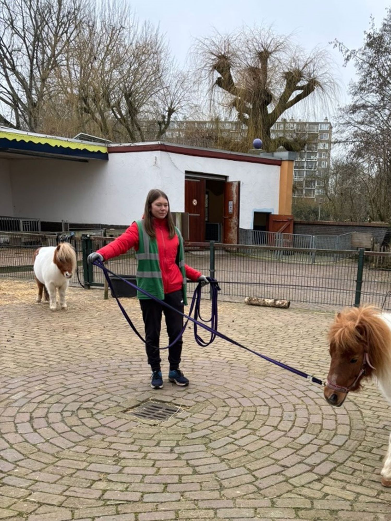 Een student met planten in de hand