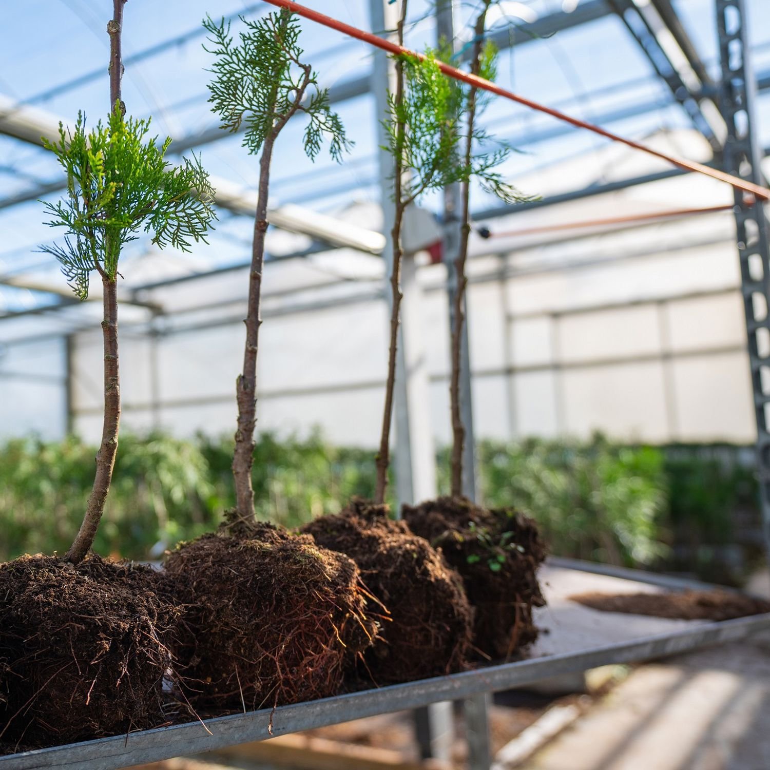 Meisje zittend op een bank voor kluisjes