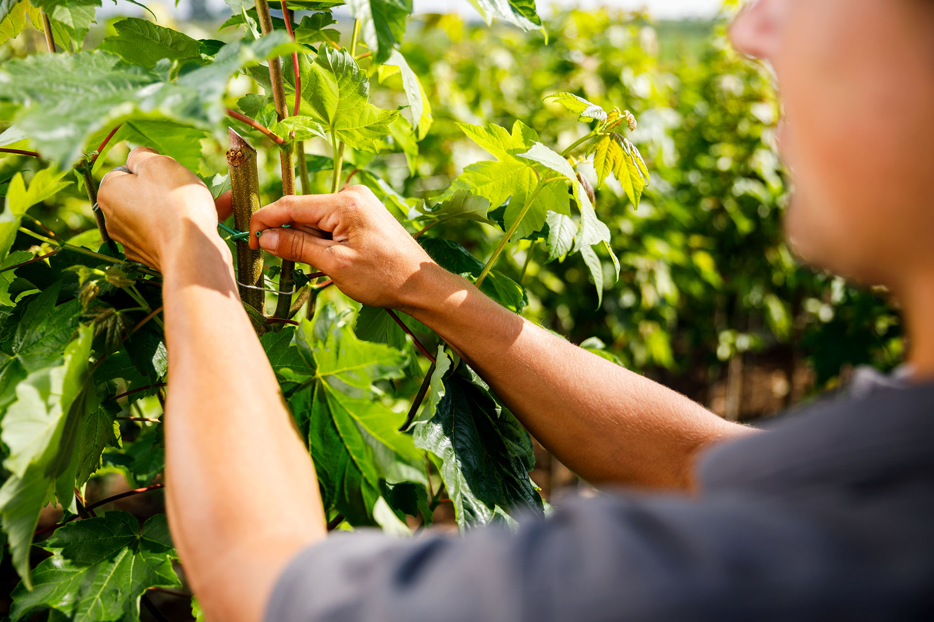 Docent leidt groep lachende studenten in klaslokaal