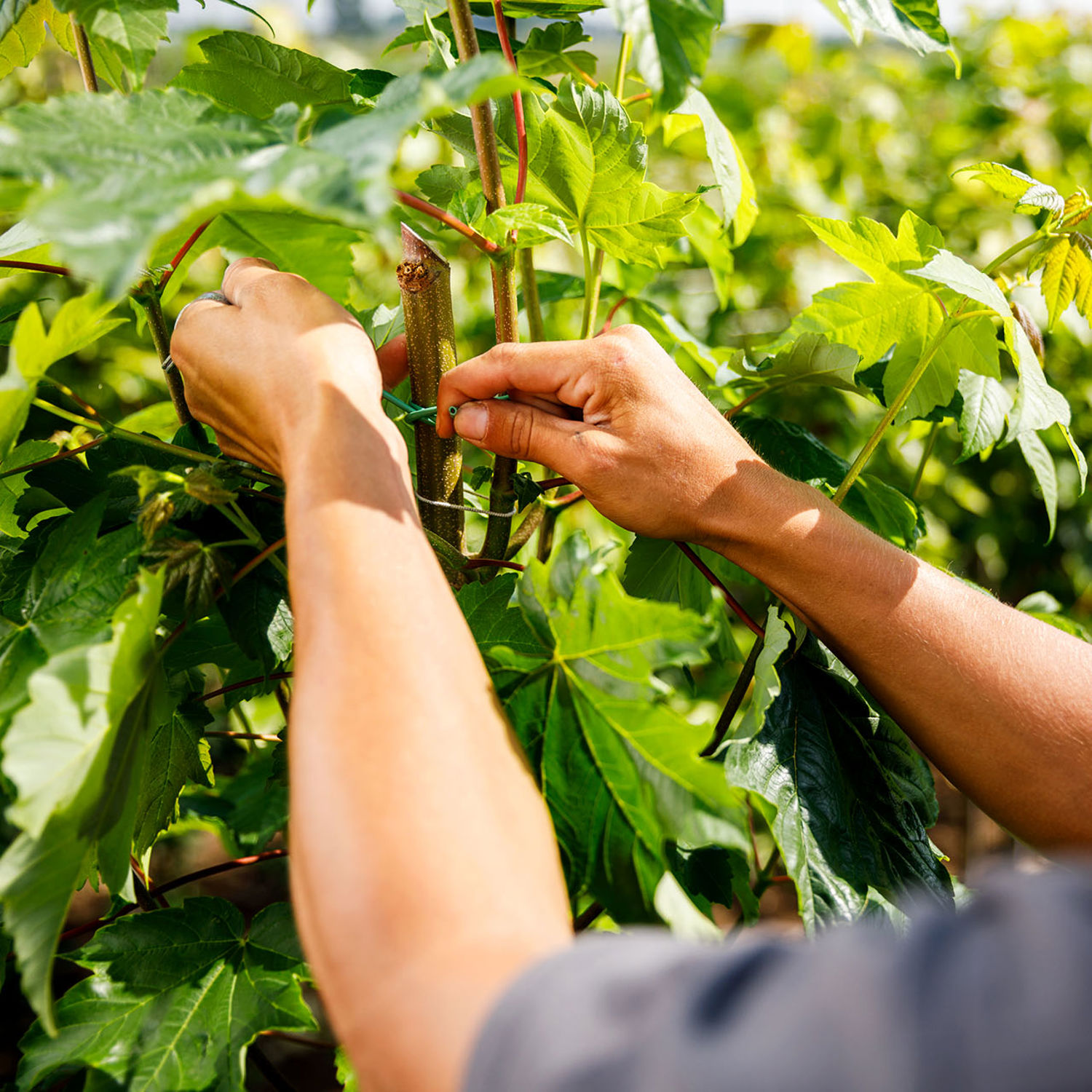 Meisje zittend op een bank voor kluisjes