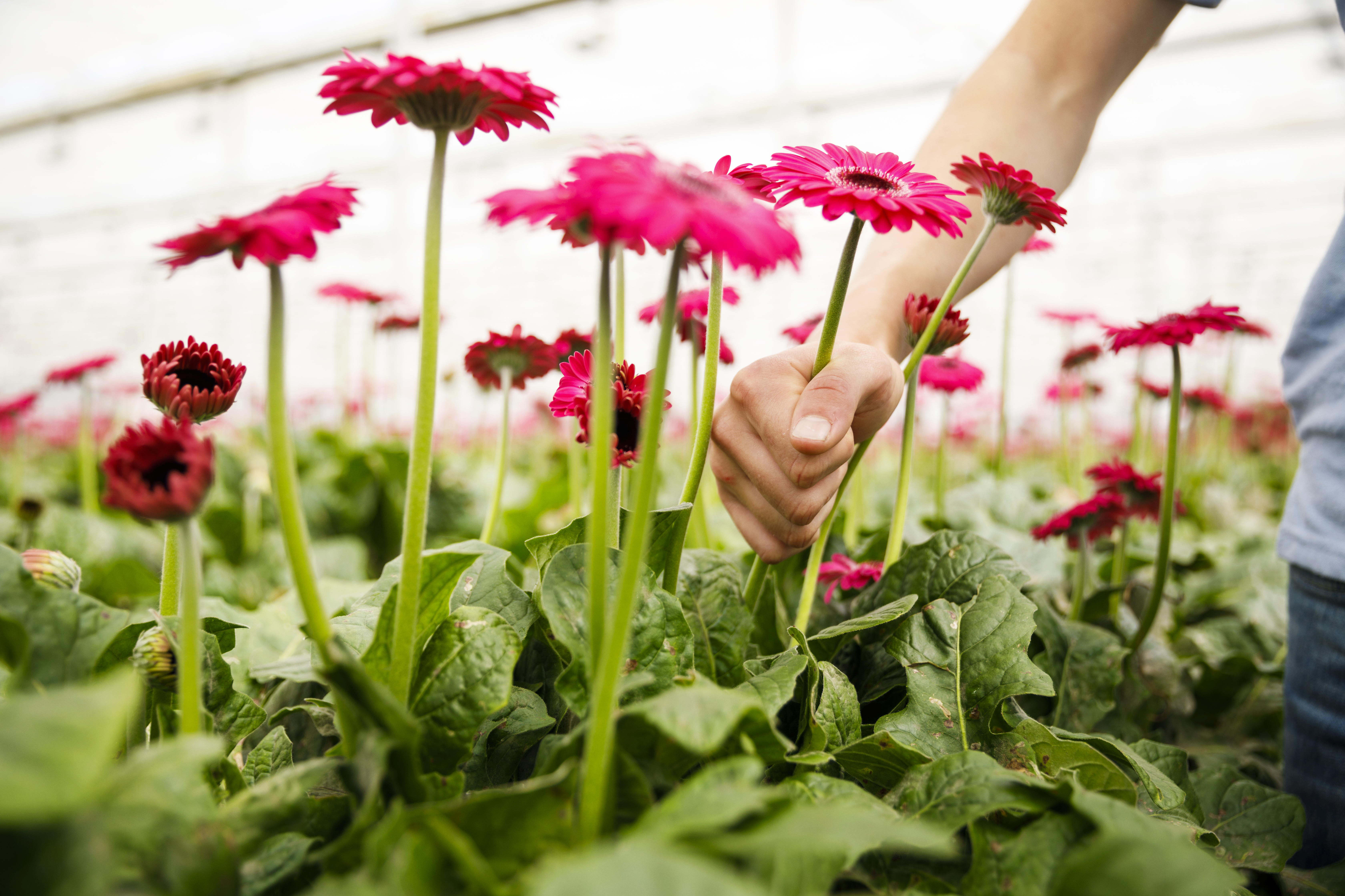 Meisje zittend op een bank voor kluisjes