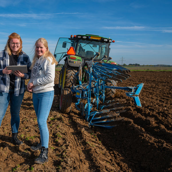 Drie dierenartsen met een hond