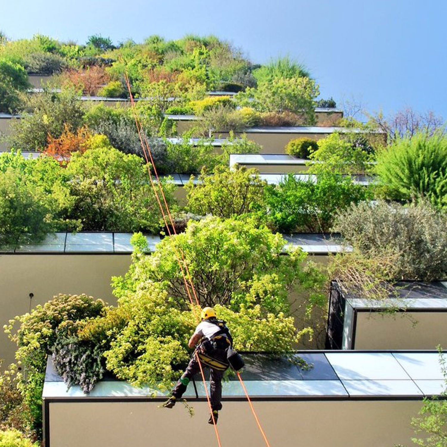 Een student rijdt lachend paard