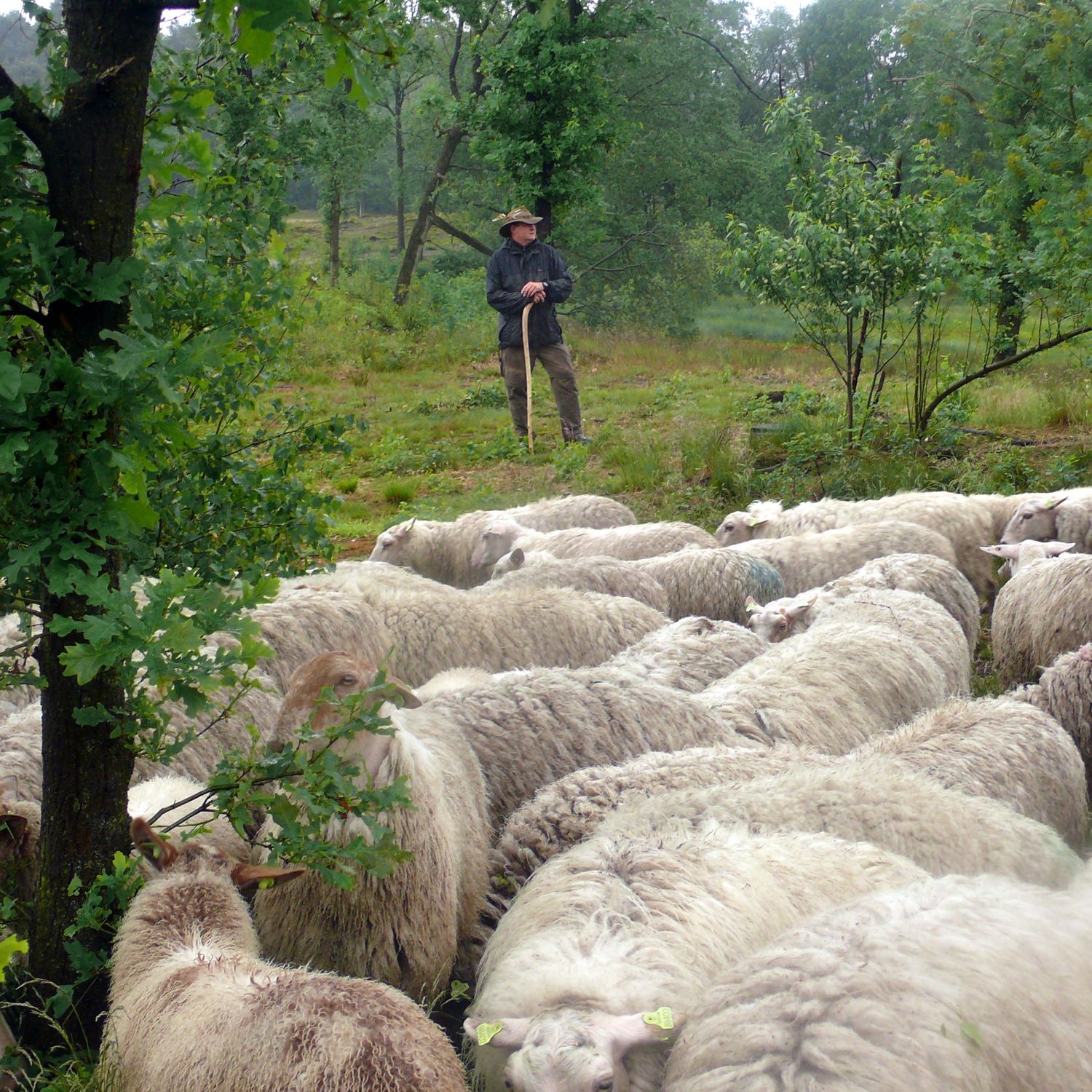 Meisje zittend op een bank voor kluisjes