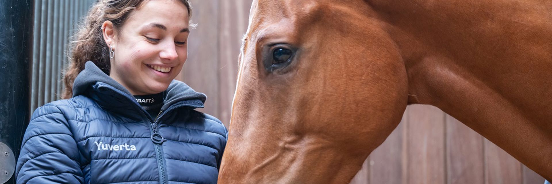 Meisje geeft hooi aan een paard