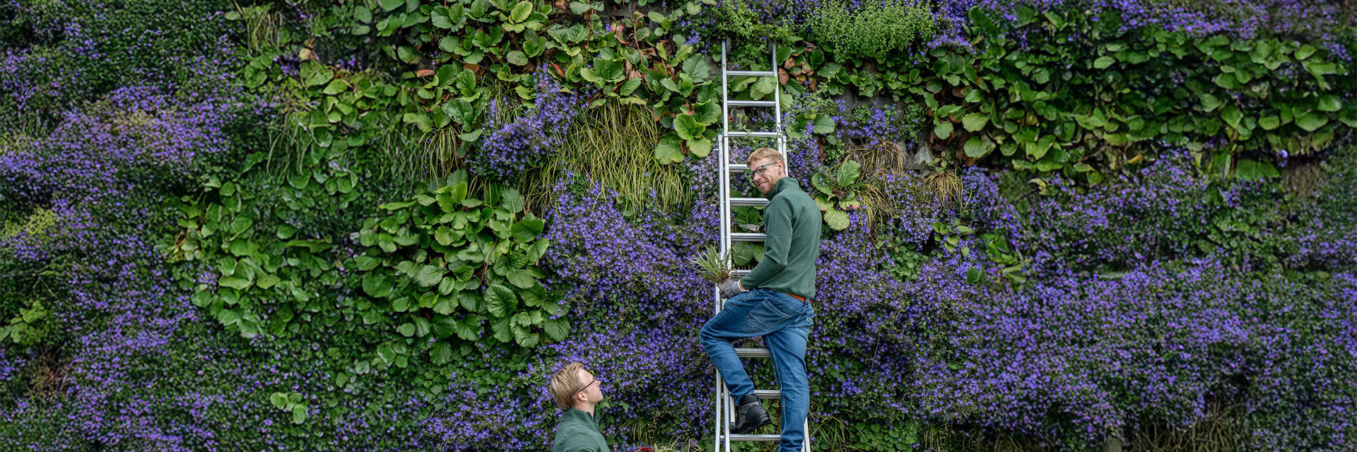 Twee studenten werken aan een verticale tuin