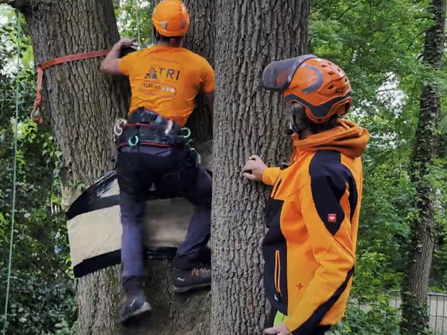 Een student op een mountainbike
