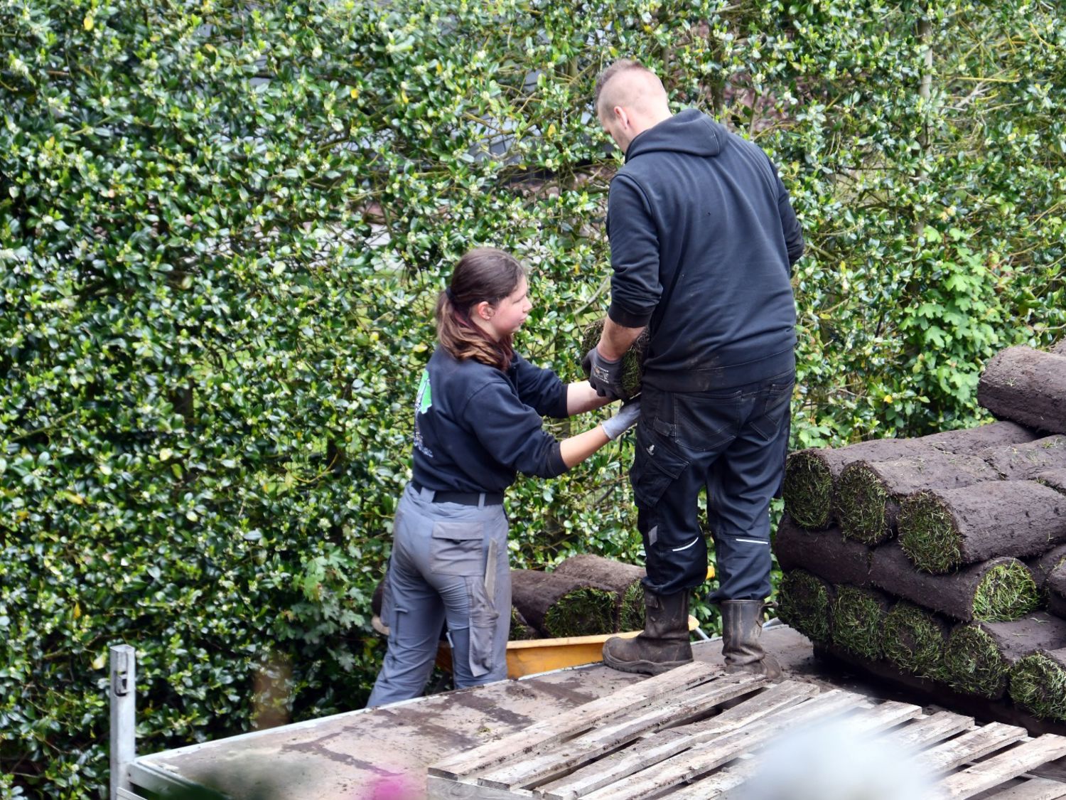 Drie dierenartsen met een hond