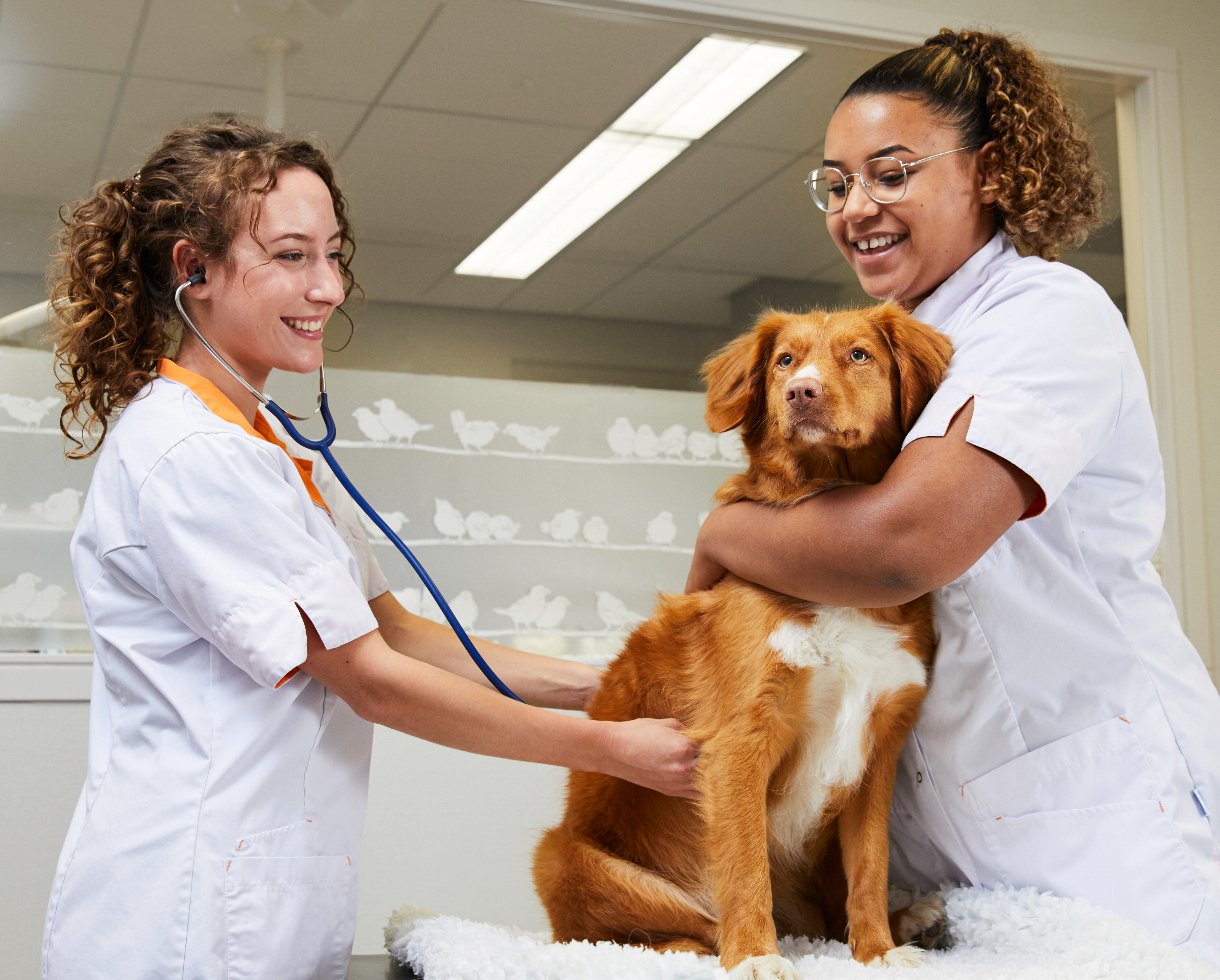Docent leidt groep lachende studenten in klaslokaal