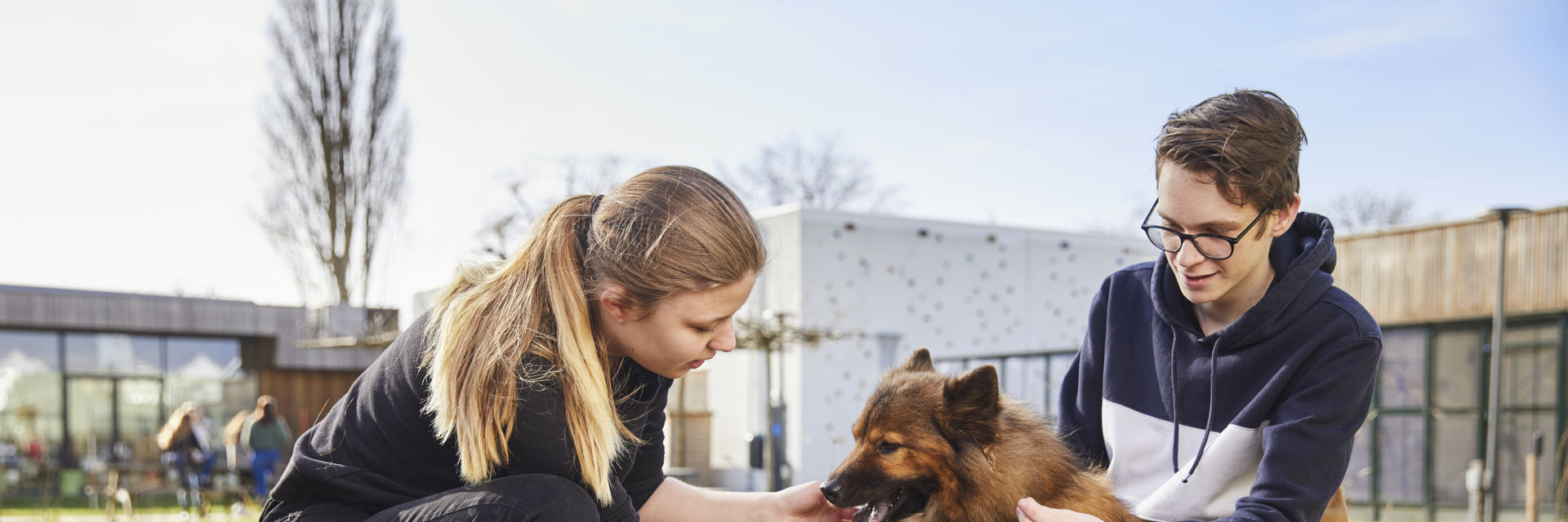 Twee studenten verzorgen een hond