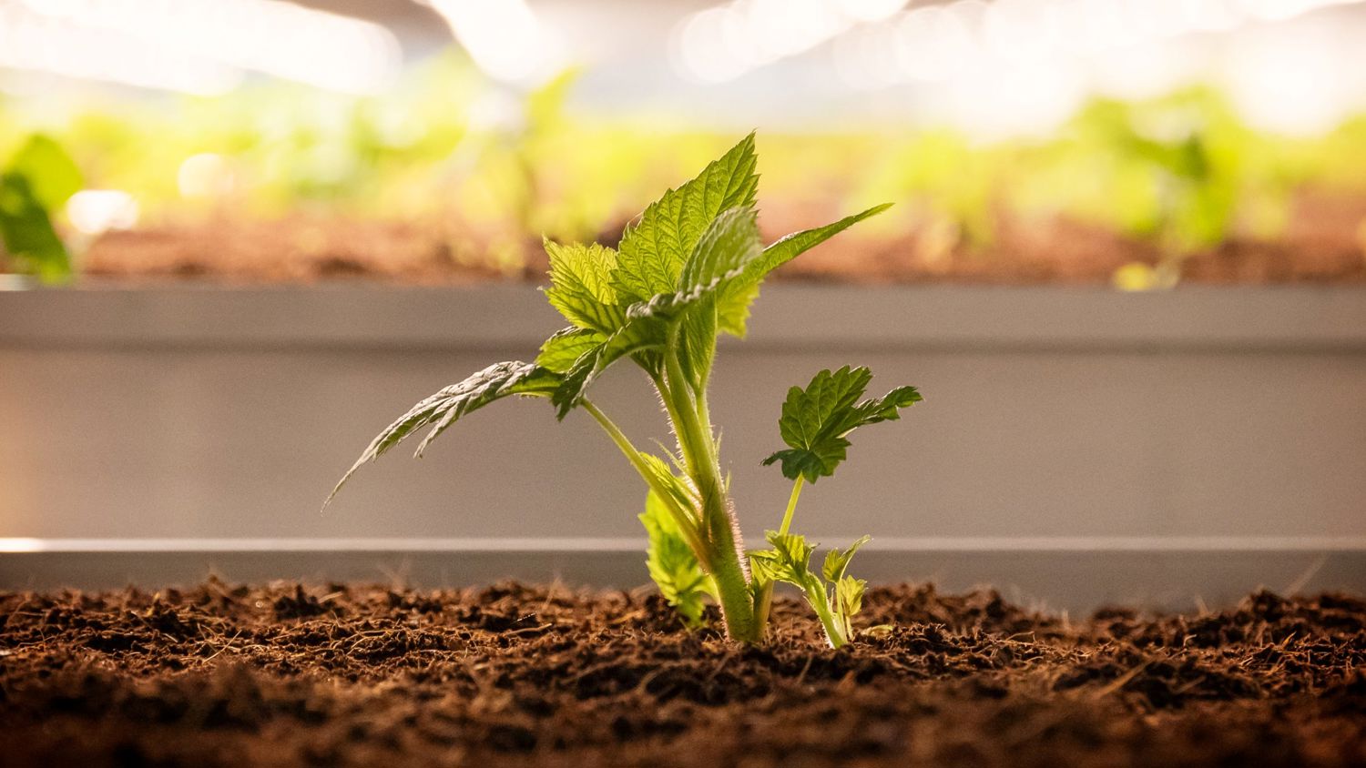 Meisje zittend op een bank voor kluisjes