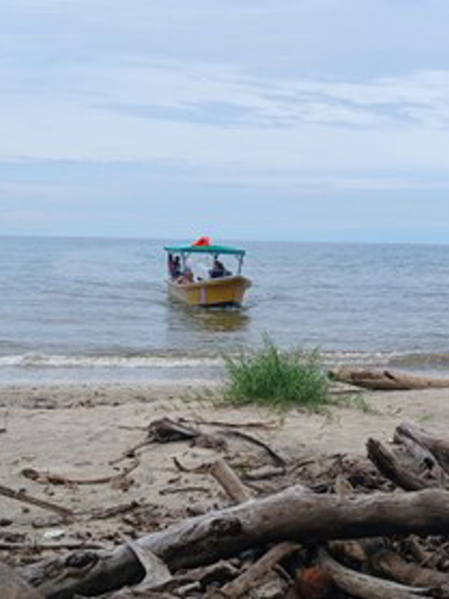 Docent leidt groep lachende studenten in klaslokaal