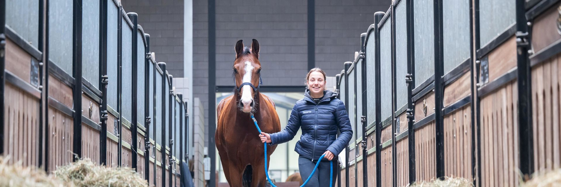 Student oriëntatie paard in de manege bij Yuverta mbo Helmond