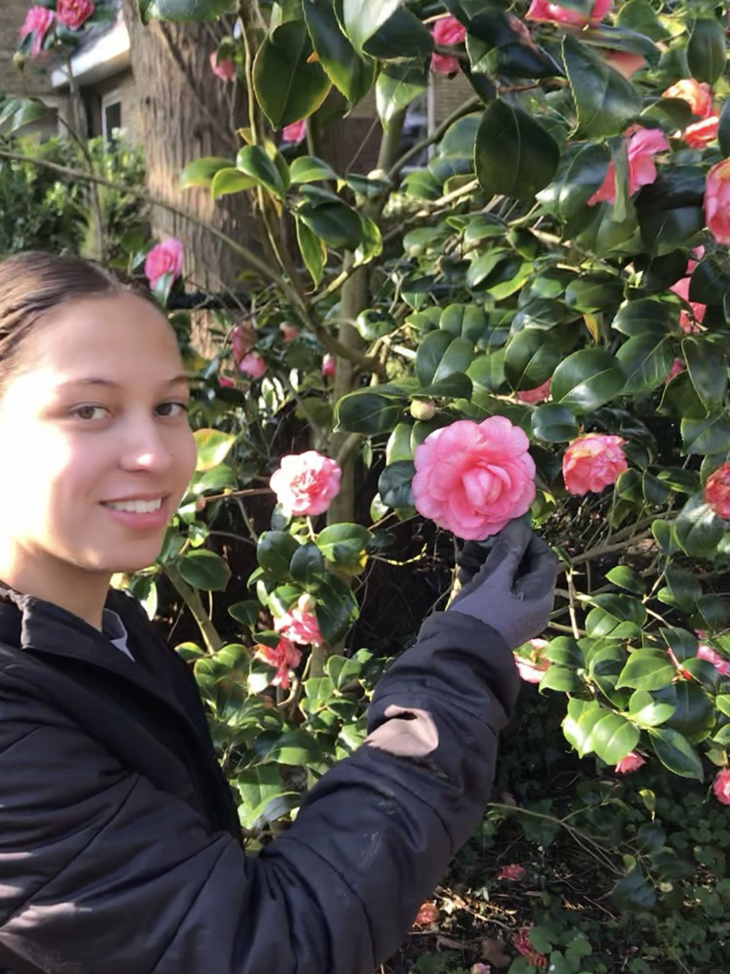 Een hovenier werkt aan een verticale tuin