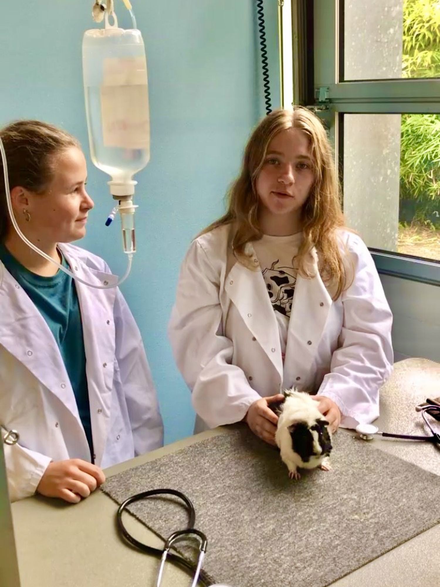 Een hovenier werkt aan een verticale tuin