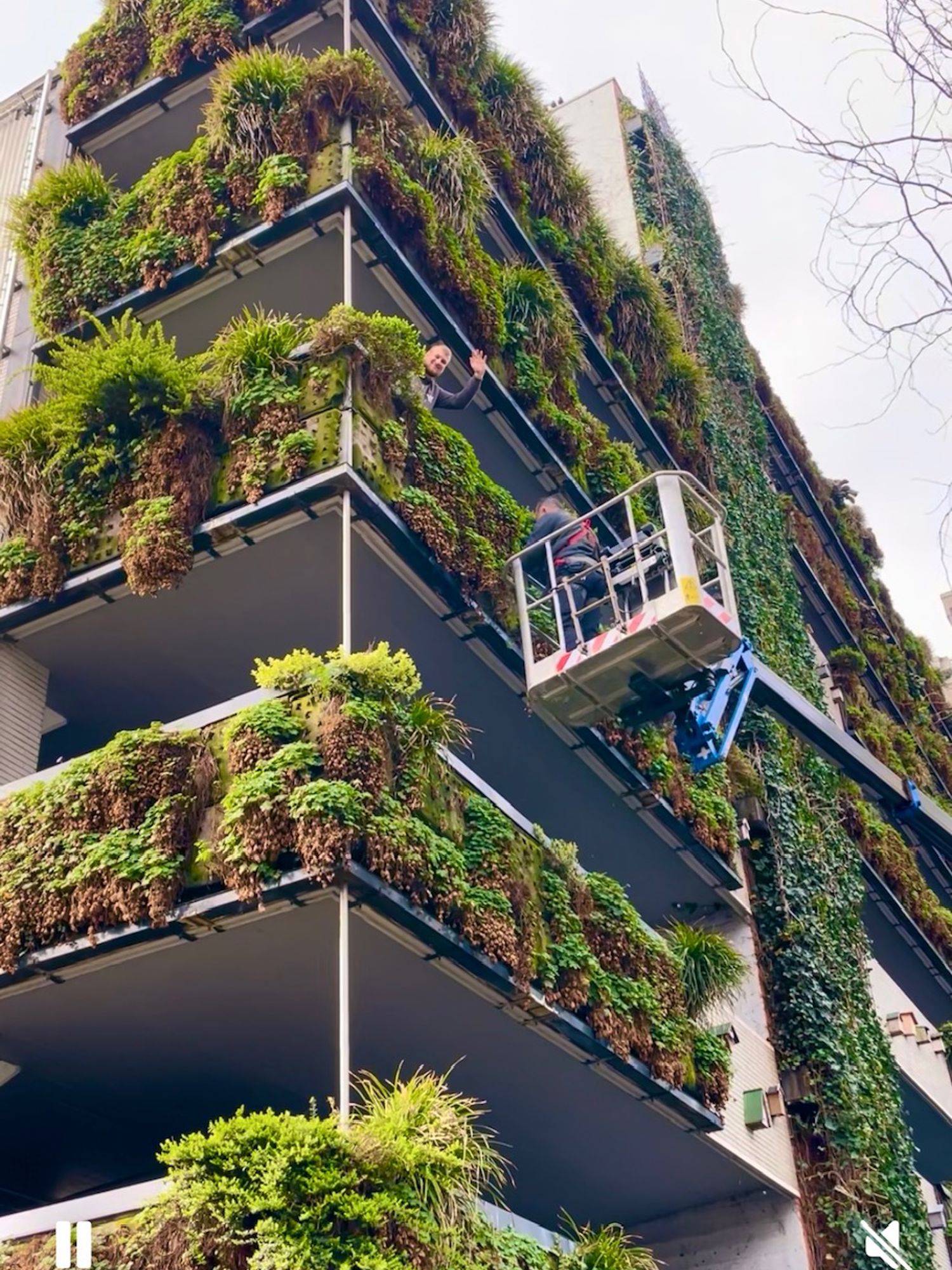 Een hovenier werkt aan een verticale tuin