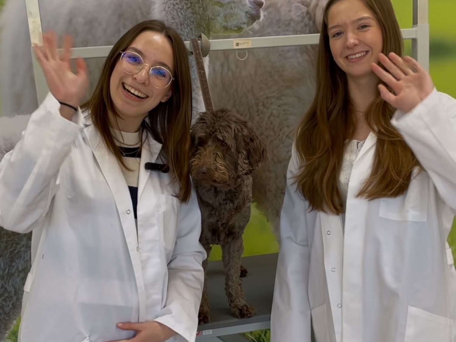 Leerling lachend voor een boekenkast