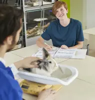 Yuverta mbo Rijswijk