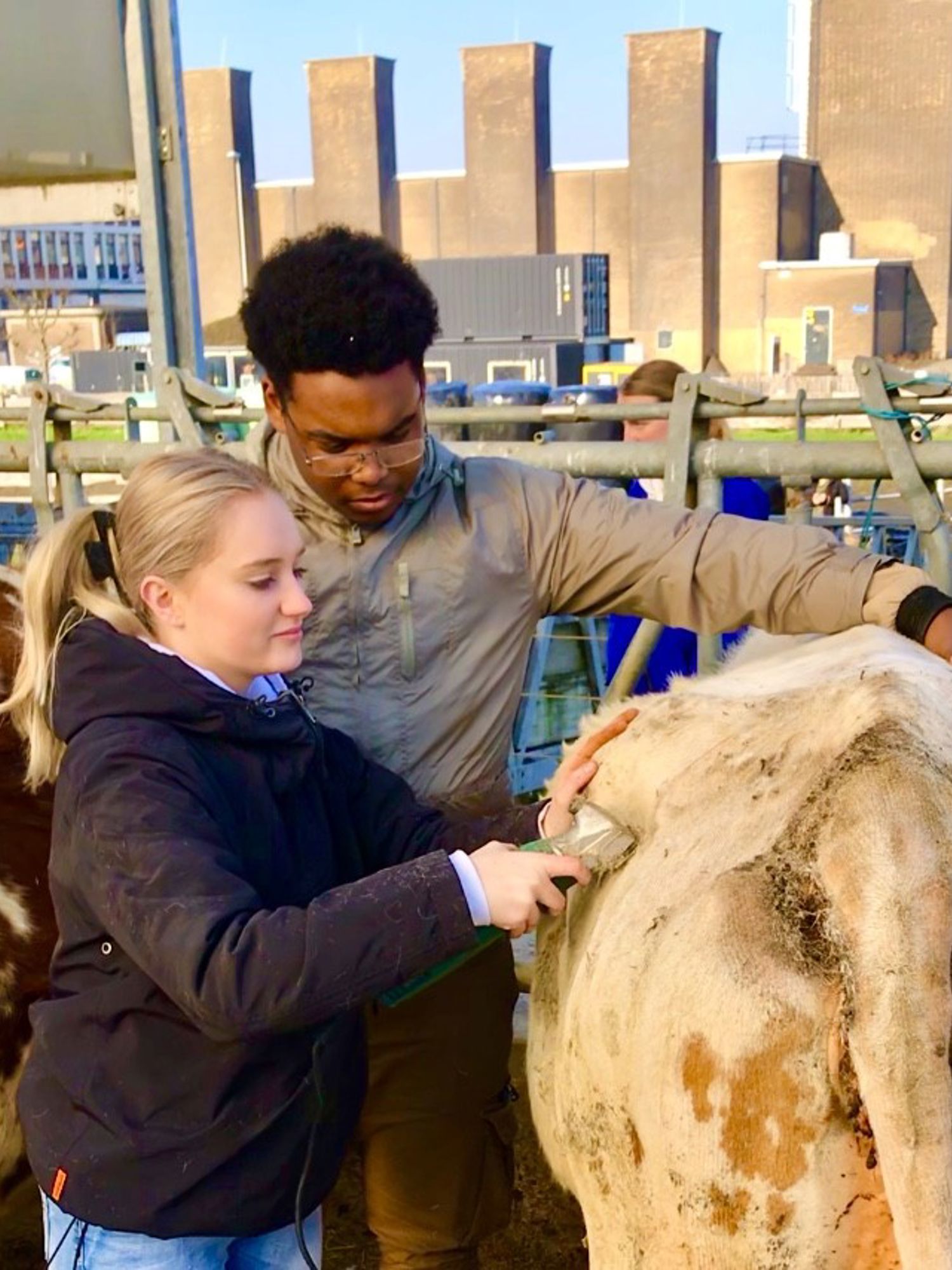 Mbo-studenten op het podium tijdens Skills The Finals 2025