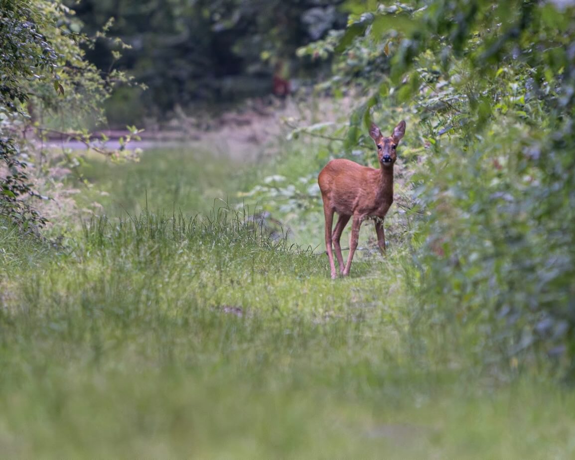 Meisje zittend op een bank voor kluisjes