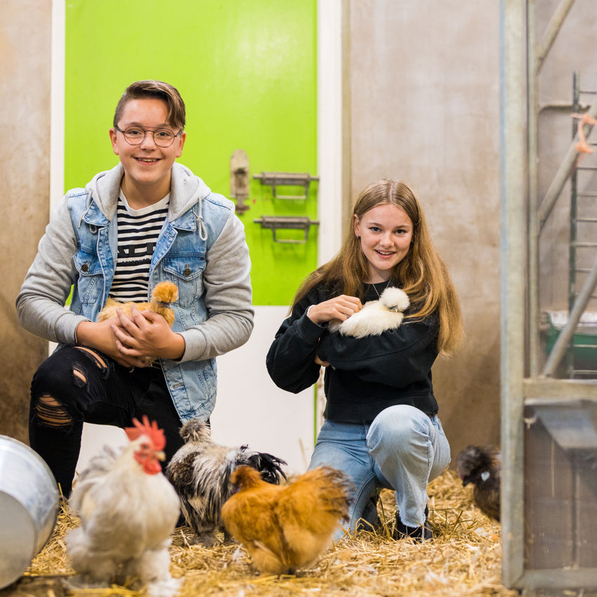 Docent leidt groep lachende studenten in klaslokaal