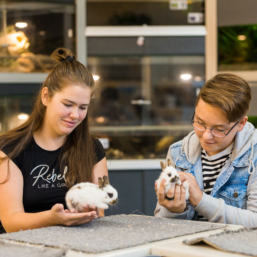 Docent leidt groep lachende studenten in klaslokaal