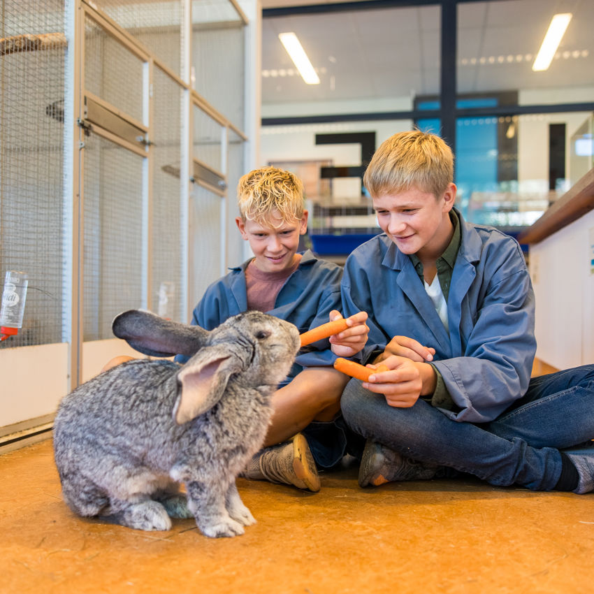 Meisje zittend op een bank voor kluisjes